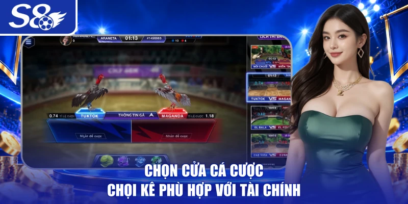 Chọn cửa cá cược chọi kê phù hợp với tài chính