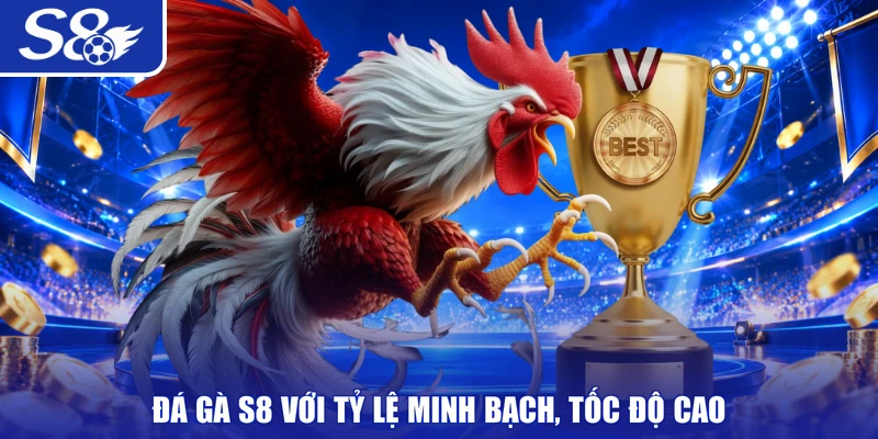 Đá gà S8 với tỷ lệ minh bạch, tốc độ cao