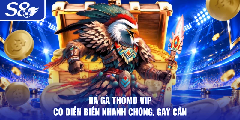 Đá gà Thomo VIP có diễn biến nhanh chóng, gay cấn