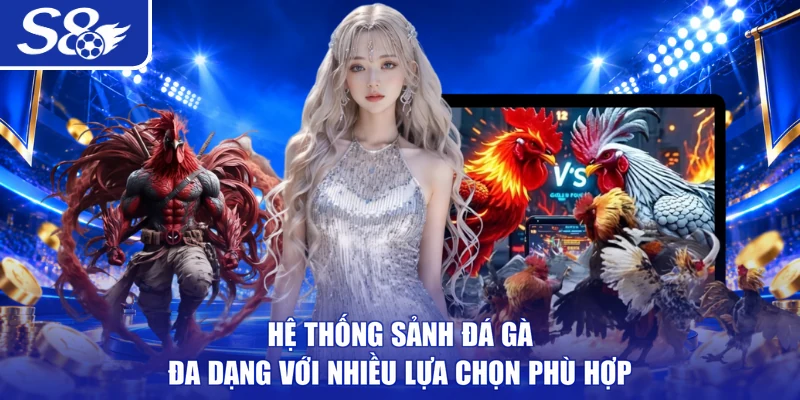 Hệ thống sảnh đá gà đa dạng với nhiều lựa chọn phù hợp