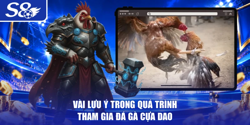 Vài lưu ý trong quá trình tham gia đá gà cựa dao
